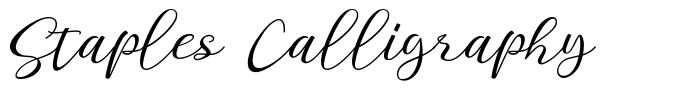 Staples Calligraphy font