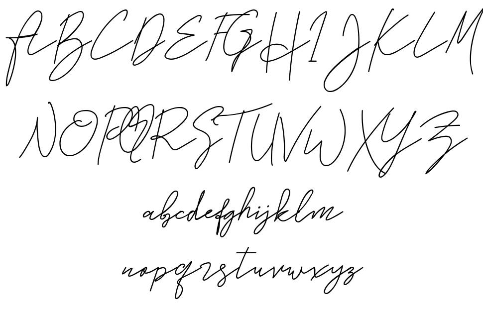 Stephani 字形 标本