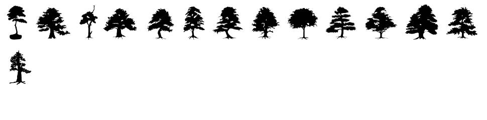 Subikto Tree font specimens