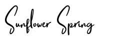 Sunflower Spring font