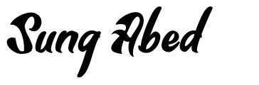 Sung Abed font