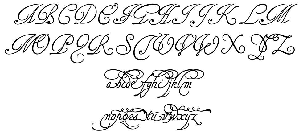 Tagettes 字形 标本