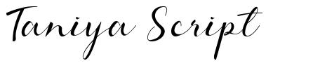 Taniya Script шрифт