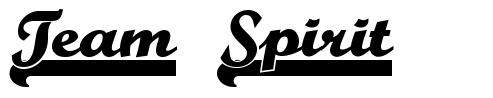 Team Spirit font