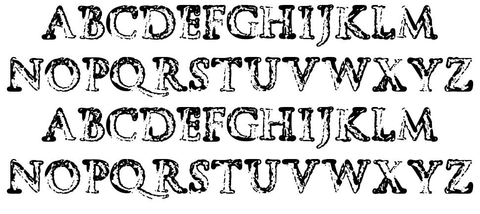 Tempus Fugit 字形 标本