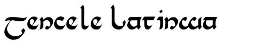 Tencele Latinwa шрифт