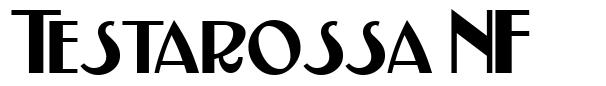 Testarossa NF шрифт