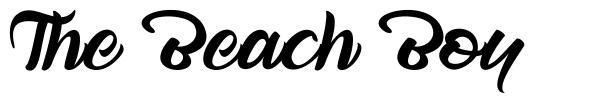 The Beach Boy шрифт