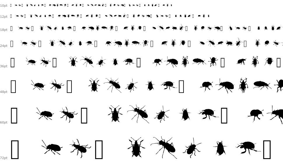 The Beetles písmo Vodopád