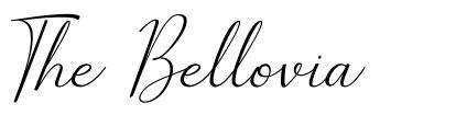 The Bellovia шрифт