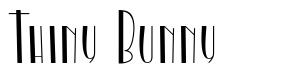 Thiny Bunny font
