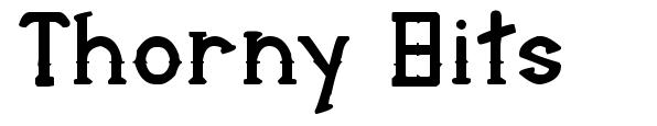 Thorny Bits шрифт