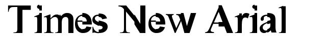 Times New Arial font