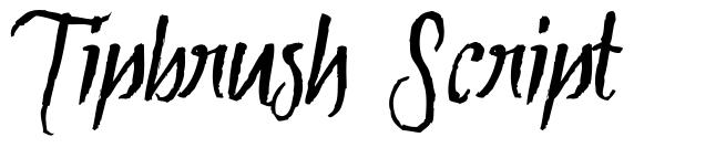 Tipbrush Script font