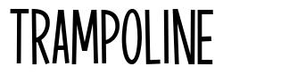Trampoline police