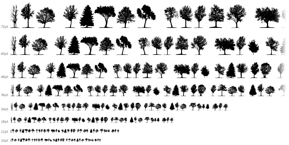 Trees TFB fonte Cascata