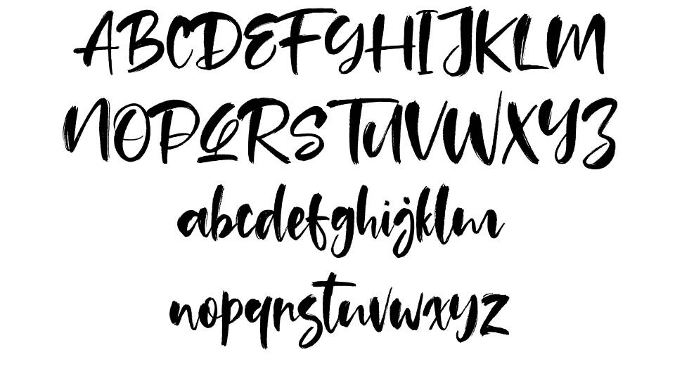 Tuckers 字形 标本