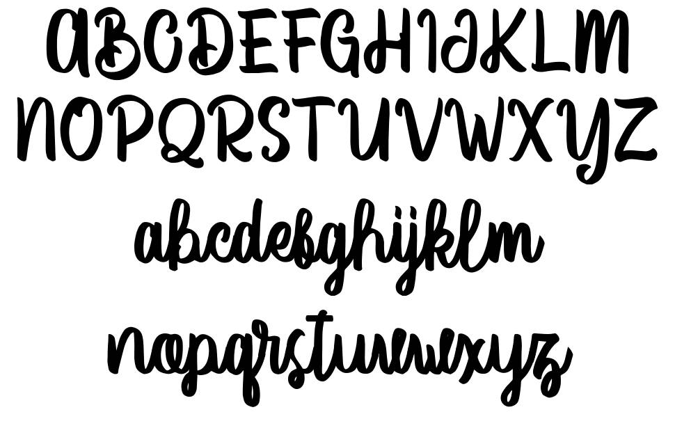 Vector Type font specimens
