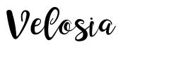 Velosia шрифт