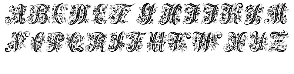 Victorian Initials One font specimens