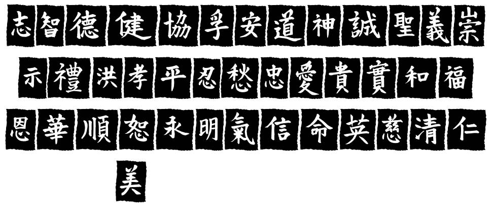 VT Mei Ornaments on Black písmo Exempláře