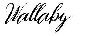 Wallaby font