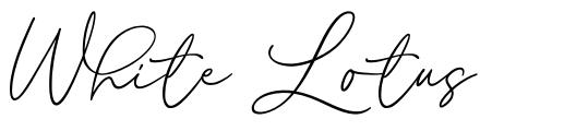 White Lotus шрифт