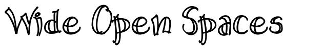 Wide Open Spaces font