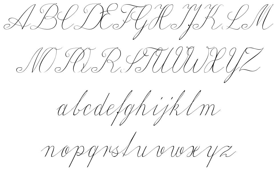 Wiegel Latein 字形 标本