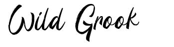Wild Grook шрифт