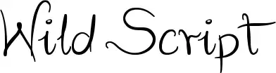 Wild Script font