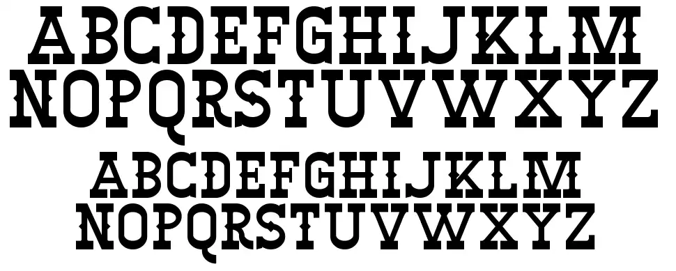 Winslettfont specimens