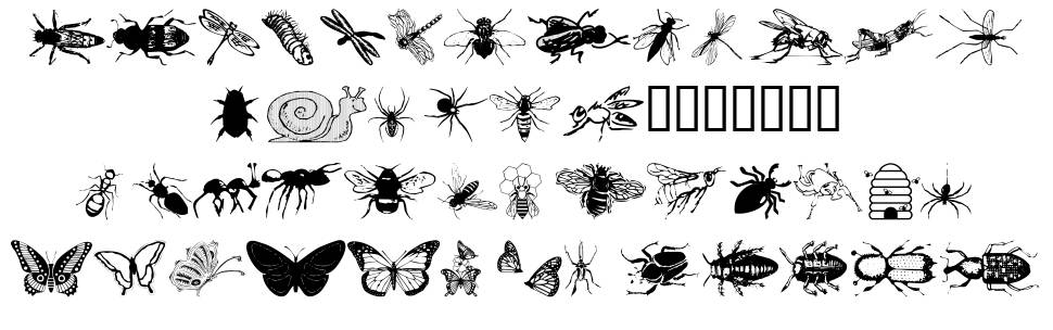 WM Insects schriftart