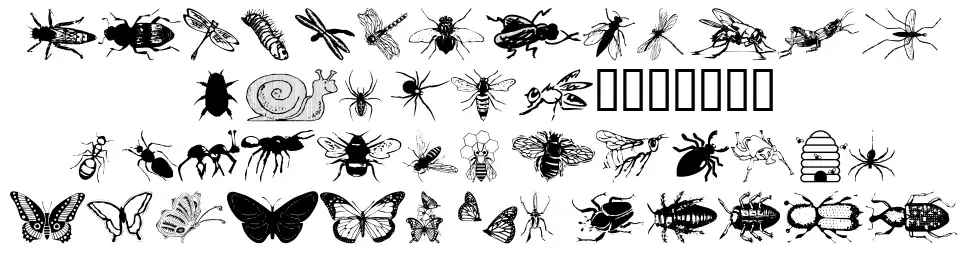 WM Insects font specimens