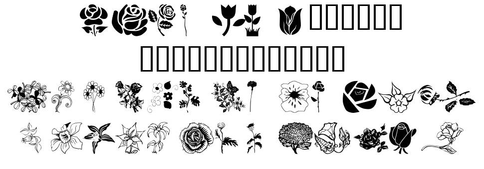wmflowers1 字形 标本