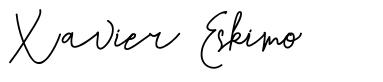 Xavier Eskimo font