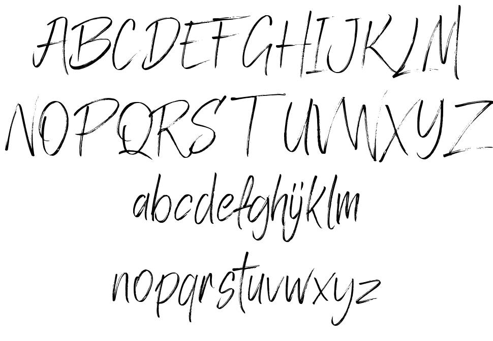 Zolanti 字形 标本