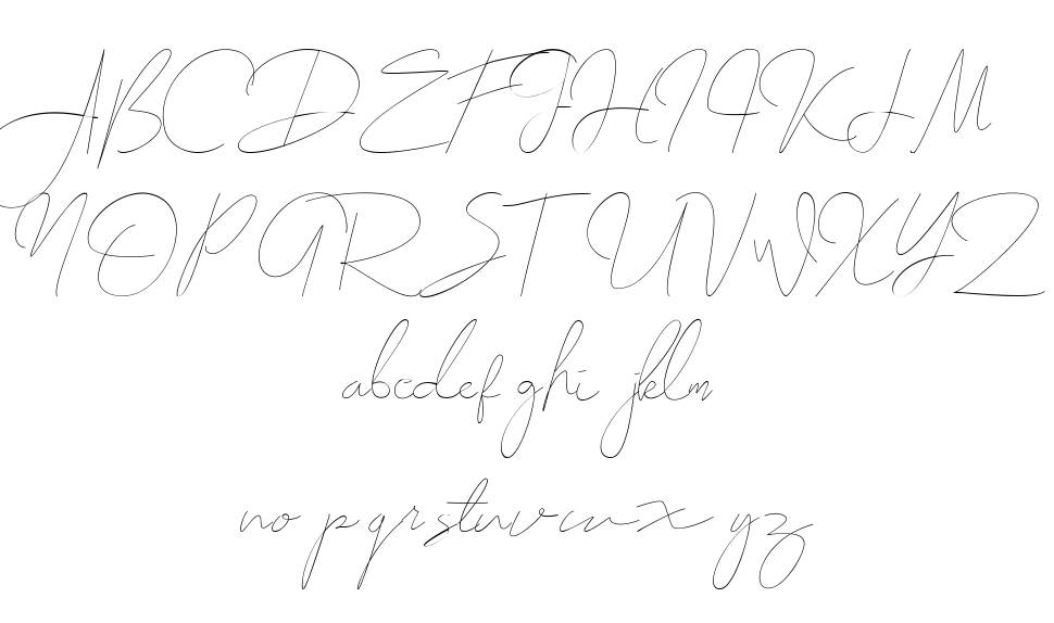 Zolland 字形 标本
