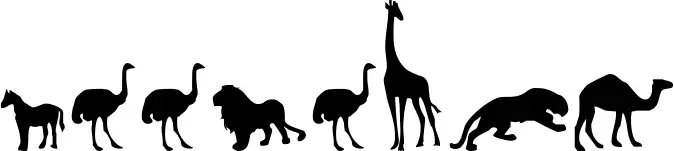 Zoologic